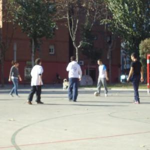 Miniatura