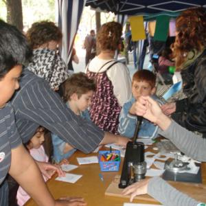 Miniatura