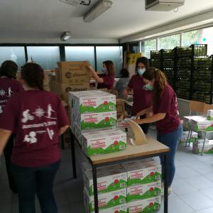 Foto repartiment lots d'aliments 2