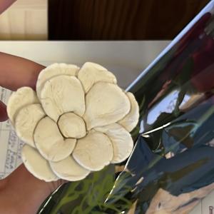fem barri fem familia sant jordi