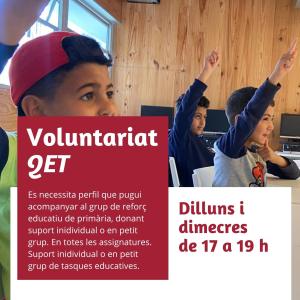 voluntariat QET