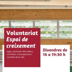 ec voluntariat